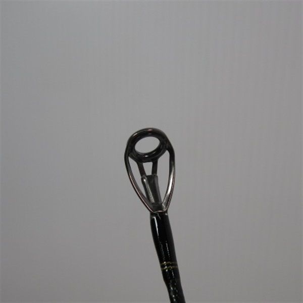 ２１ネッサＸＲＳ１００ＭＨ＋